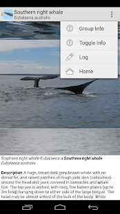 How to install Dolphins & Whales Sightings lastet apk for laptop