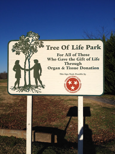 Tree Of Life Park