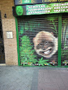 Graffiti Face Monkey