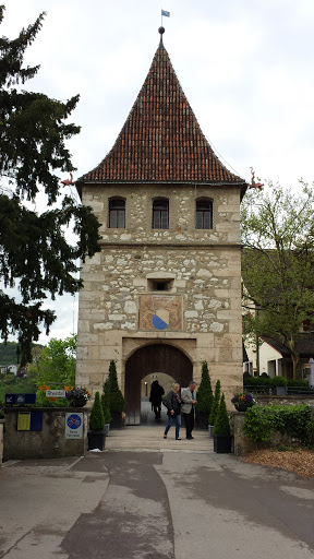 Entre Schloss Laufen