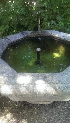 Brunnen Kornhauspark