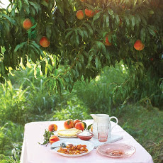 Caramelized Peaches