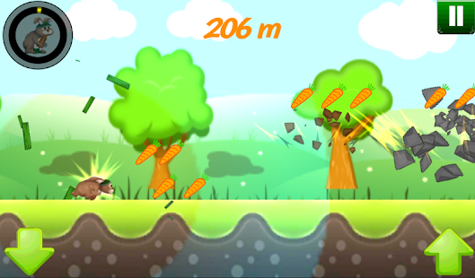 download Bunny Run 2D free