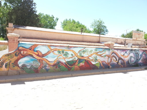 Mural Mujer Arbol
