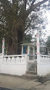 Gunathilaka Meditation Centre