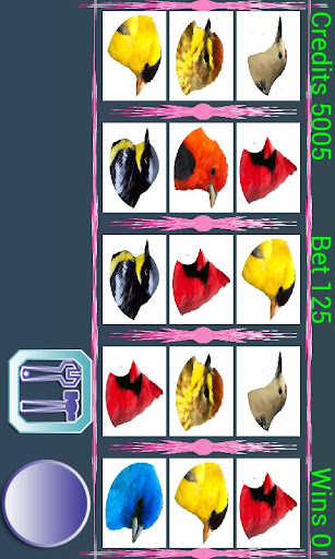 【免費紙牌App】A8 Birds Slot Machine-APP點子