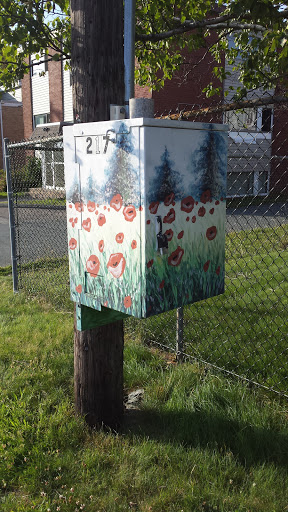 Electrical Box -Poppies