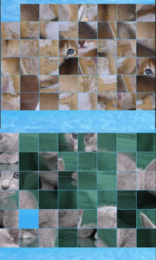 puzzle_cat