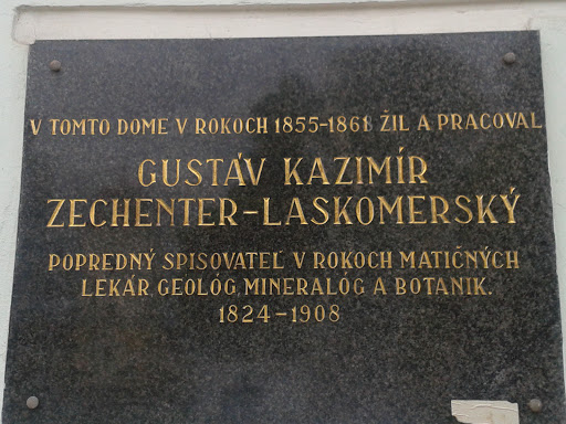 Dom G Z Zechenter-Laskomersky