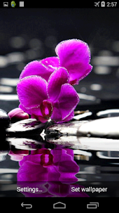 How to download Orchid Live Wallpaper lastet apk for bluestacks