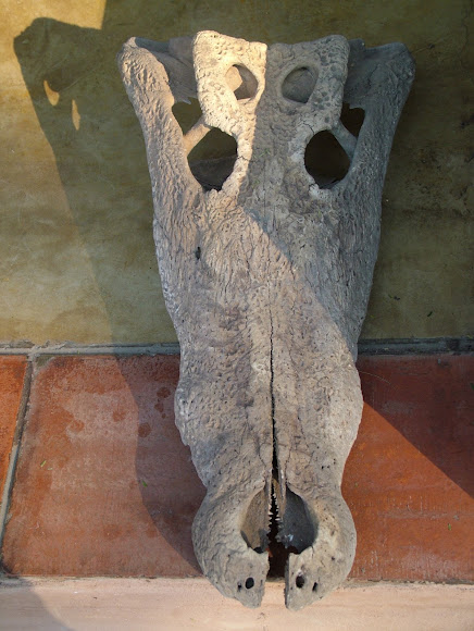 Spotting Image 1