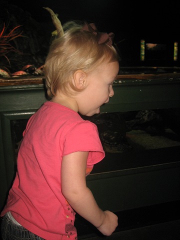 [20081003_0102[3].jpg]
