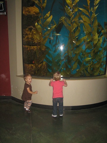[20081003_0122[3].jpg]