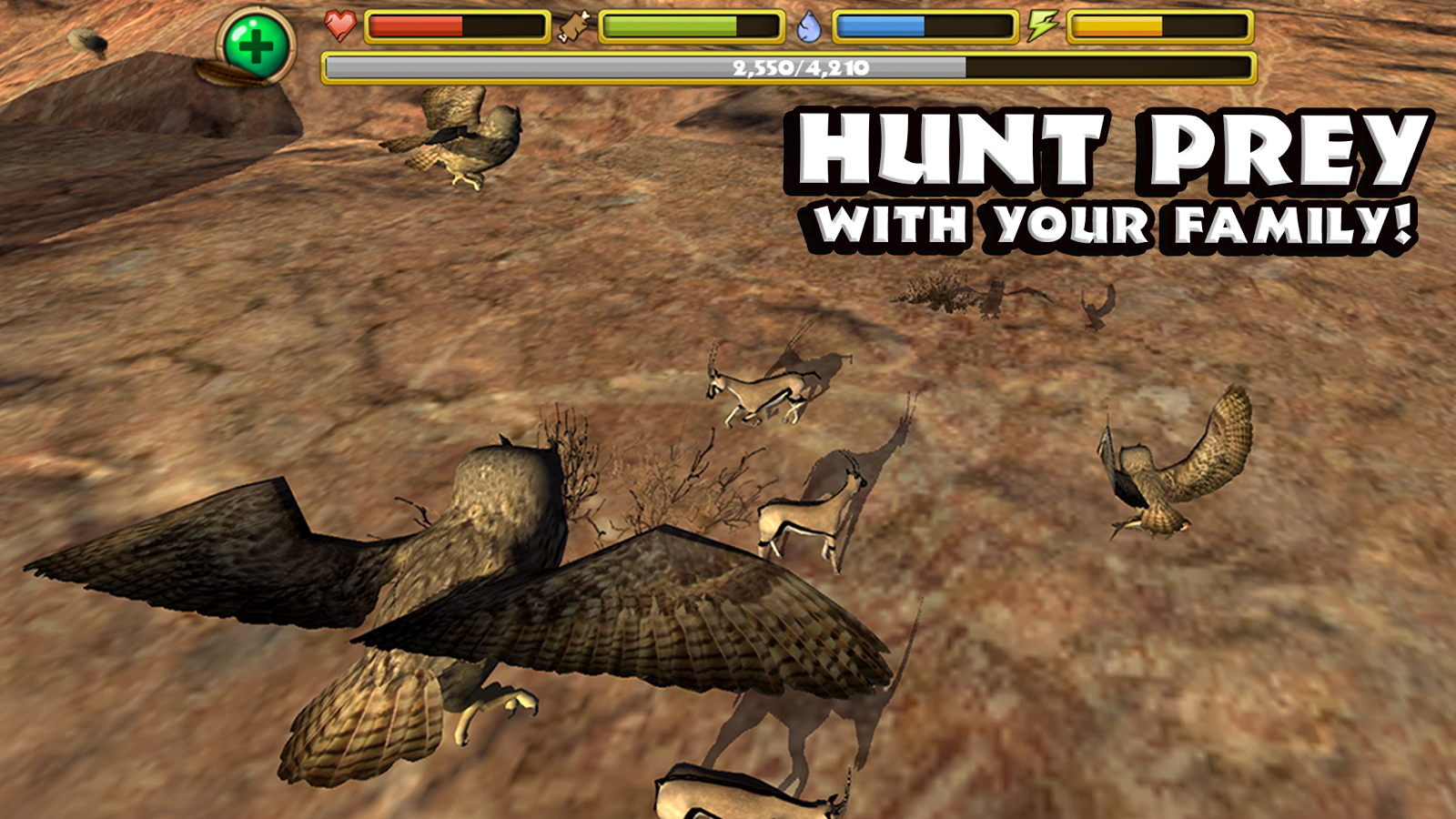    Owl Simulator- screenshot  
