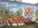 Граффити Тигр