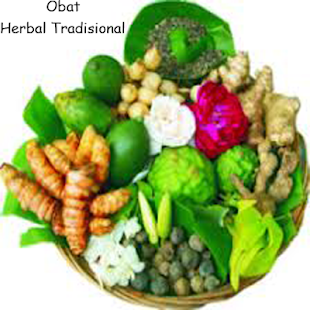 How to get Obat Herbal Tradisional 5.2 apk for laptop