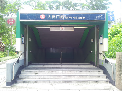 Tai Wo Hau MTR Station 大窩口站