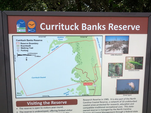 Currituck Banks Reserve
