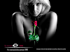 Club Swinger En Coyoacan