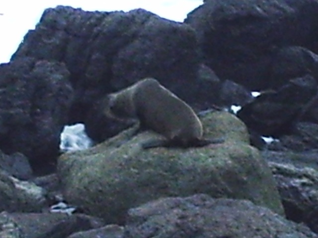 [Diversas 183[2].jpg]