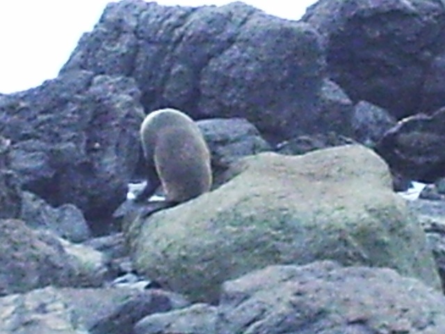 [Diversas 184[2].jpg]