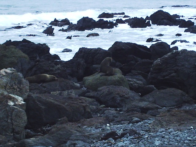 [Diversas 182[2].jpg]