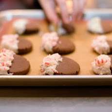 Chocolate Candy Cane Cookies