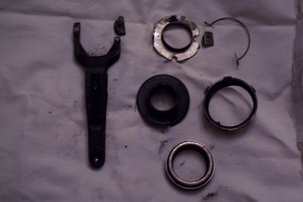 [Image: 100_1427.jpg]