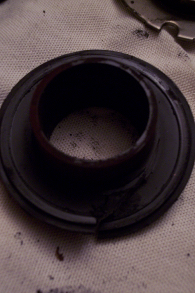 [Image: 100_1429.jpg]