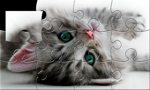 Cats puzzle jigsaw