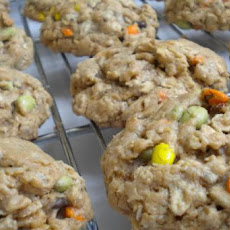 Indian Sunflower Cookies