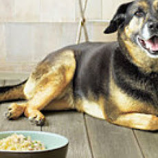 Doggie Tuna Casserole