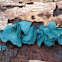 Copper Elfcup