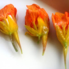 Stuffed Nasturtium Flowers