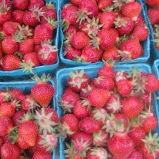 Grilled Strawberries with Lemon Thyme Sorbet