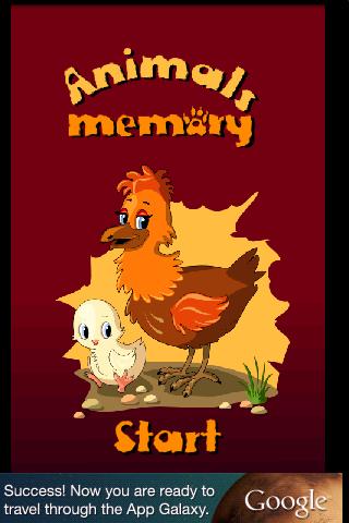 FGG Memory Animals