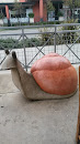 Giant Snail Sculpture 