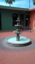 Plaza Catedral Fountain