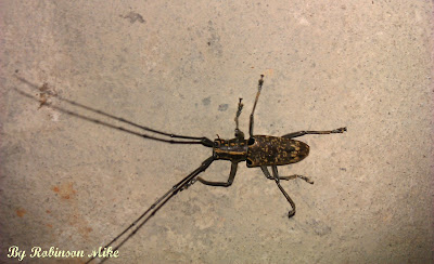 Help Image 1
