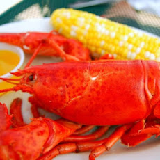 Steamed Lobsters