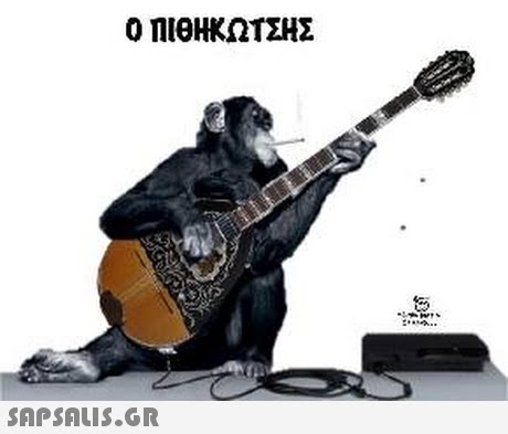 Ο ΠΙΘΗΚΩΤΣΗΣ