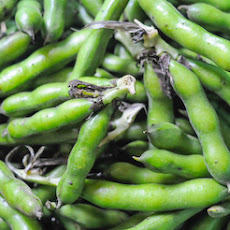 Fresh Fava Beans, Two (Easier) Ways
