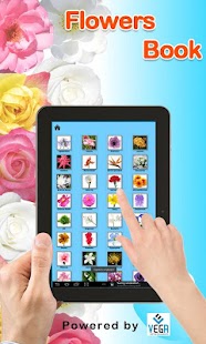 How to install Flowers Book 1.1 apk for laptop