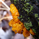 Witches Butter