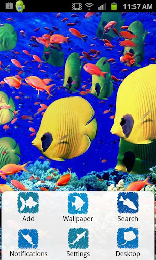 Fish Theme