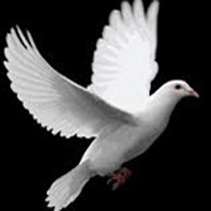 Igreja Resgatando Vidas.apk 1.0