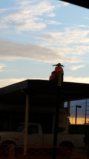 The Scooter On Roof