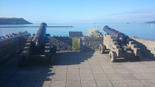 Ship Cannons from the 19th Century