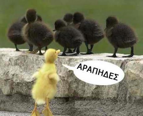 ΑΡΑΠΗΔΕΣ