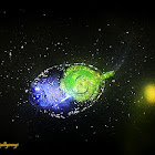 A tadpole
